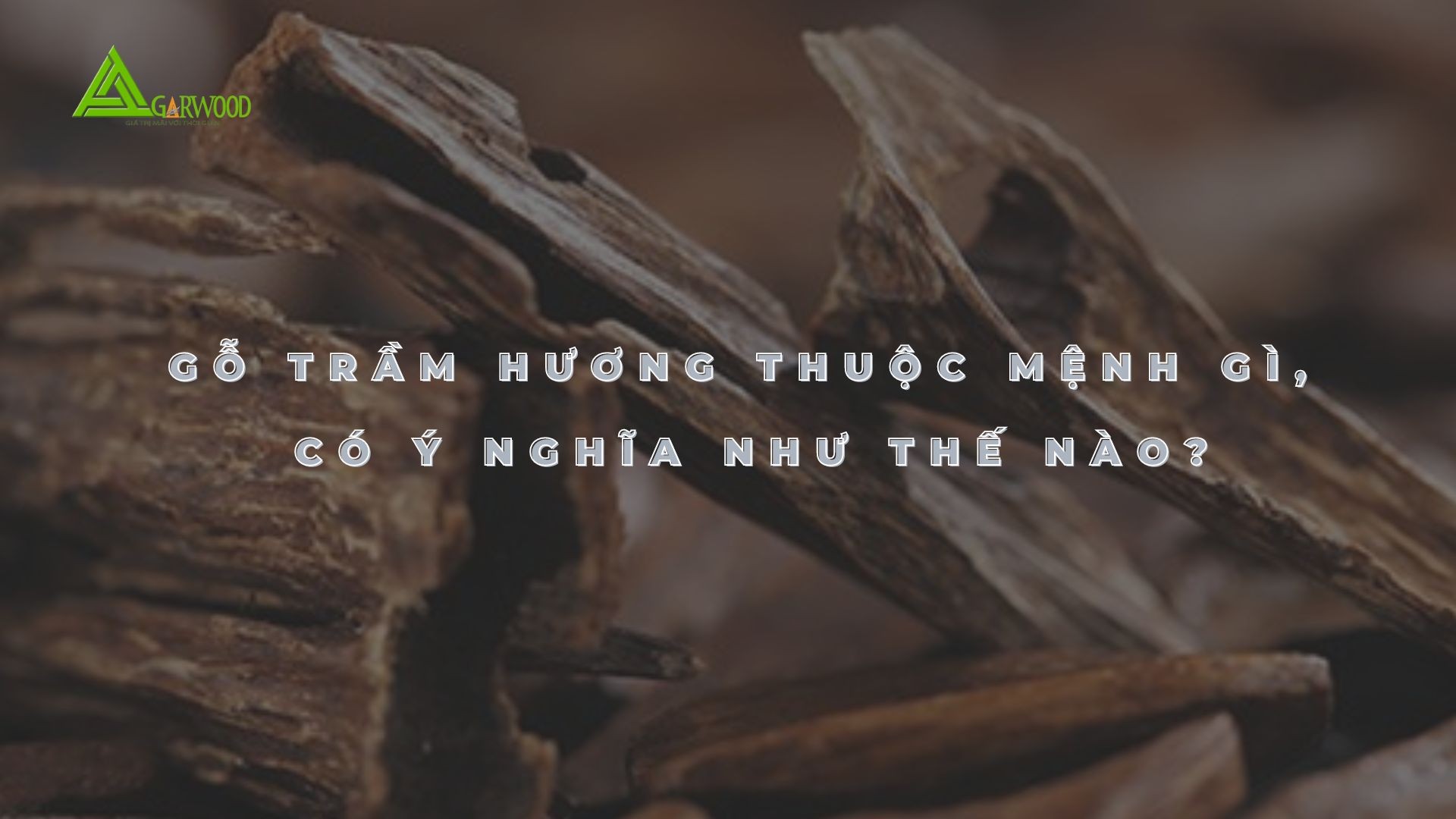 Gỗ trầm hương thuộc mệnh gì, có ý nghĩa như thế nào?